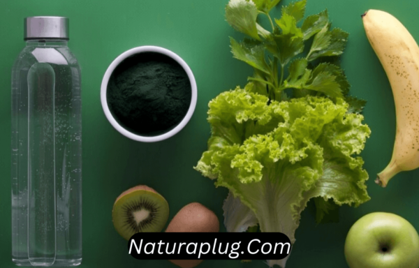 naturaplug.com