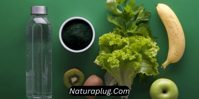 naturaplug.com